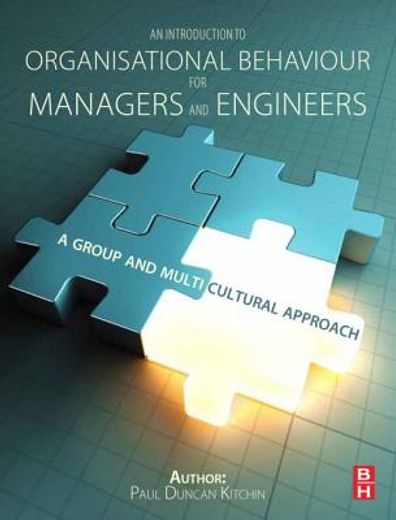 an introduction to organisational behaviour for managers and engineers,a group and multicultural approach