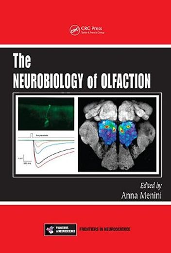 the neurobiology of olfaction