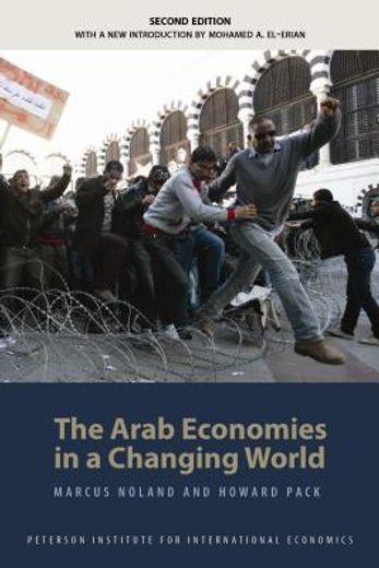 arab economies in a changing world