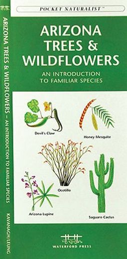 Arizona Trees & Wildflowers: A Folding Pocket Guide to Familiar Plants (in English)