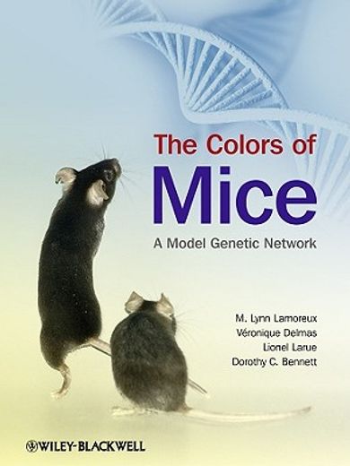 The Colors of Mice: A Model Genetic Network