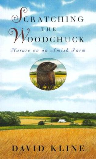scratching the woodchuck,nature on an amish farm