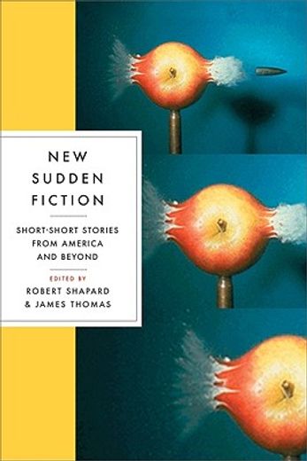new sudden fiction,short-short stories from america and beyond (en Inglés)