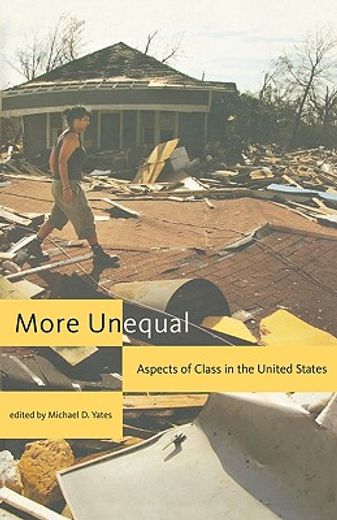 more unequal,aspects of class in the united states