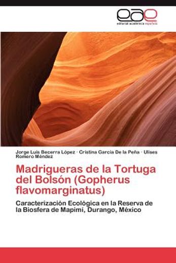 madrigueras de la tortuga del bols n (gopherus flavomarginatus) (in Spanish)