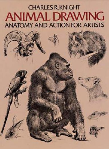 Animal Drawing (Dover Anatomy for Artists) (en Inglés)