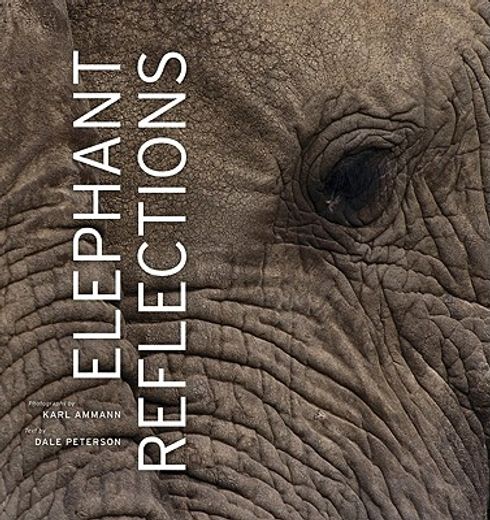 elephant reflections (en Inglés)
