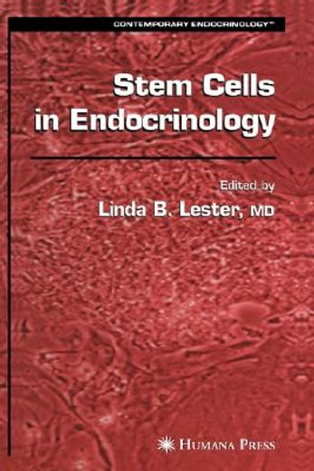 stem cells in endocrinology