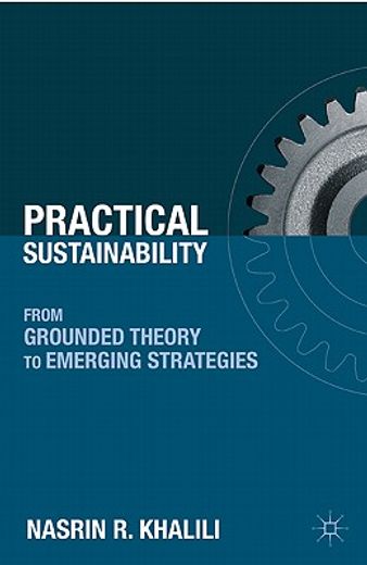 practical sustainability,from grounded theory to emerging strategies