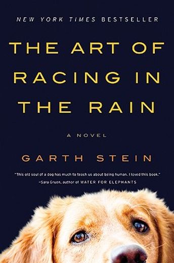 The Art of Racing in the Rain (in English)