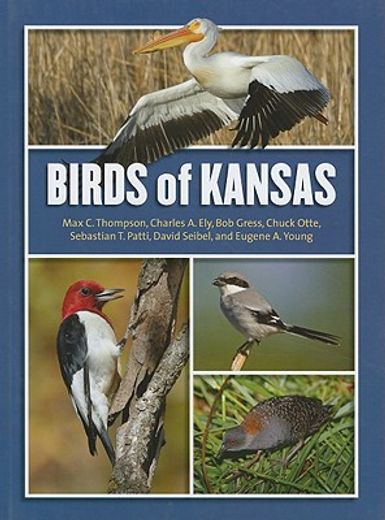 birds of kansas