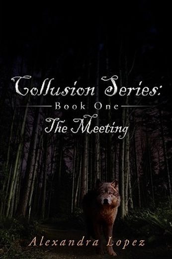 collusion series: book one: the meeting