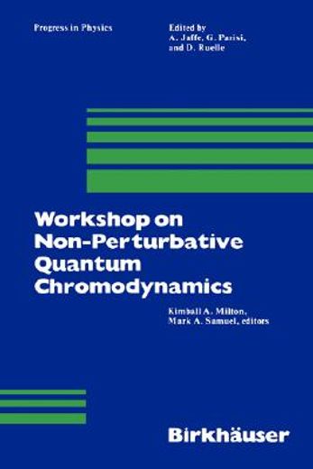 workshop on non-perturbative quantum chromodynamics (in English)