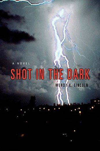 shot in the dark:a novel