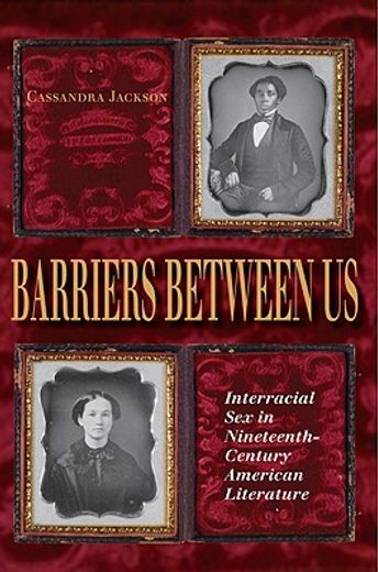 barriers between us,interracial sex in nineteenth-century american literature