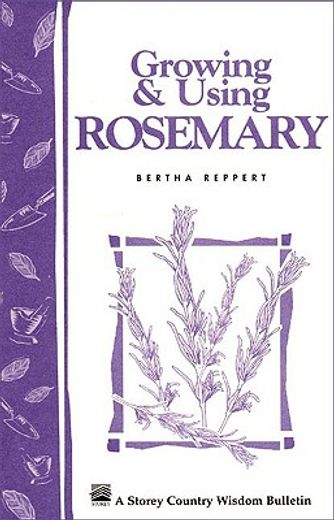 growing and using rosemary