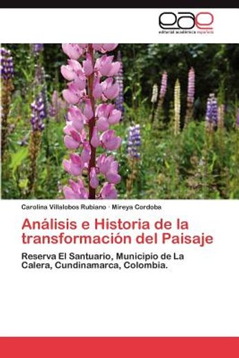 an lisis e historia de la transformaci n del paisaje (in Spanish)