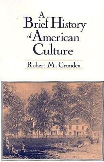 a brief history of american culture