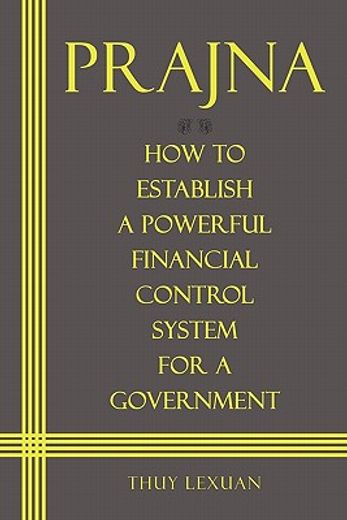 prajna, how to establish a powerful financial control system for a government