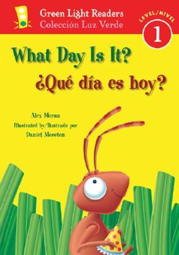 what day is it?/ que dia es hoy?
