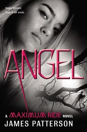 angel,a maximum ride novel (in English)