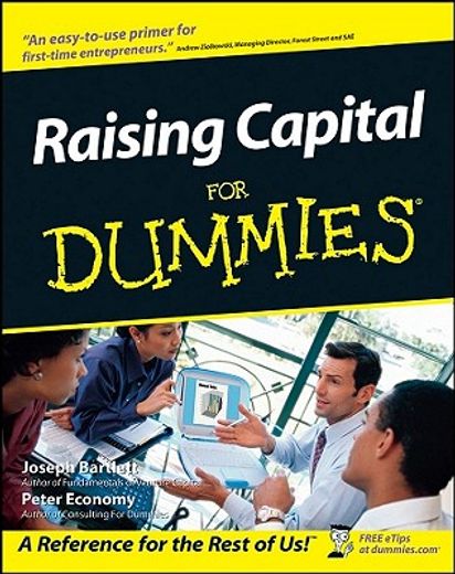 raising capital for dummies (en Inglés)