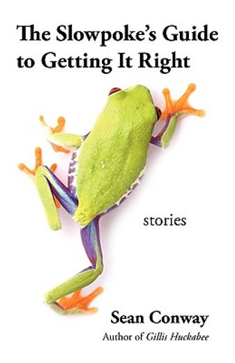 the slowpoke´s guide to getting it right,stories