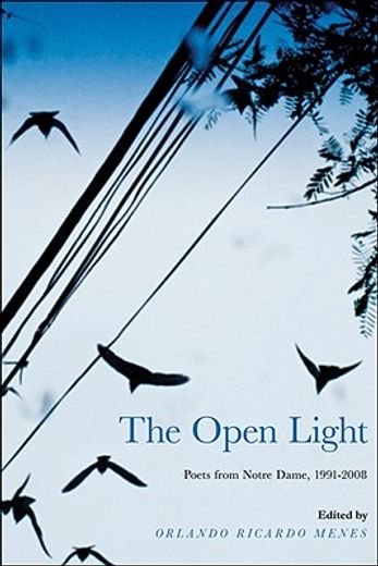 the open light,poets from notre dame, 1991-2008 (en Inglés)