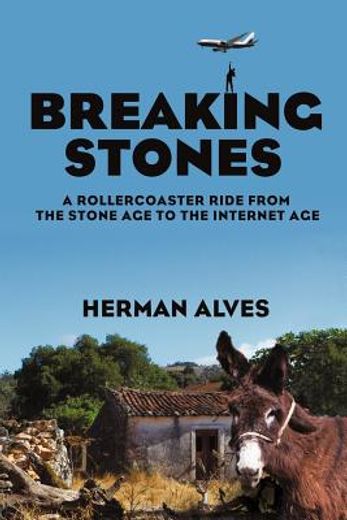 breaking stones,a rollercoaster ride from the stone age to the internet age
