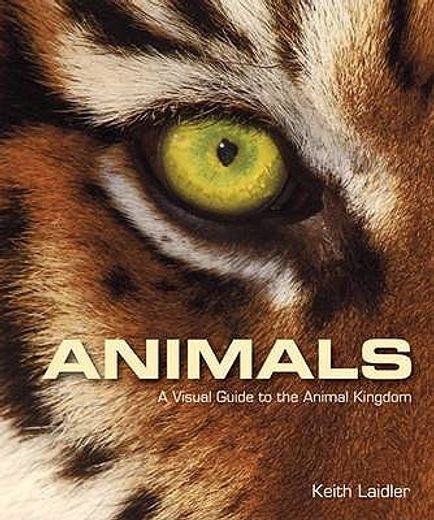 animals,a visual guide to the animal kingdom