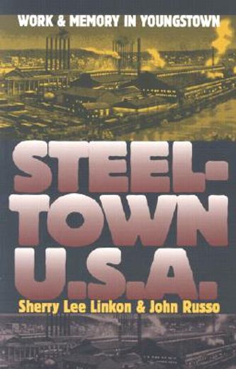 steeltown usa,work and memory in youngstown