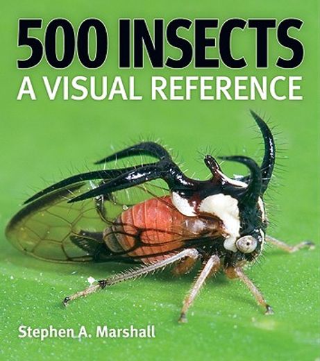 500 insects,a visual reference