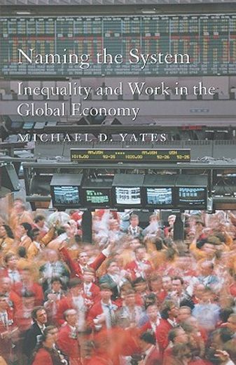 naming the system,inequality and work in the global economy (en Inglés)