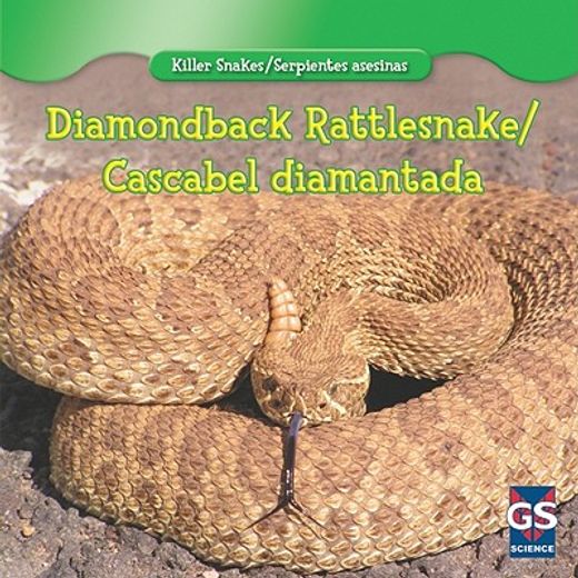 diamondback rattlesnake / cascabel diamantada