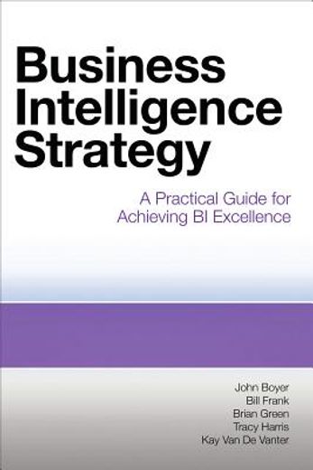 business intelligence strategy: a practical guide for achieving bi excellence