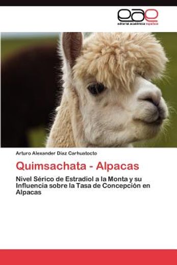 Quimsachata - Alpacas