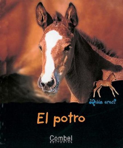 El potro (¿Quién eres? Animales) (in Spanish)