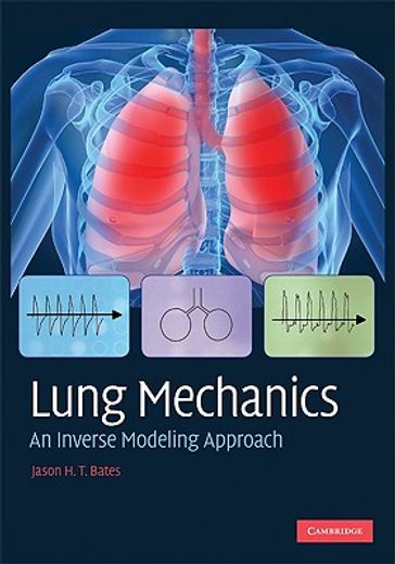 lung mechanics,an inverse modeling approach