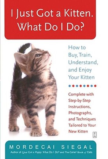 i just got a kitten, what do i do?,how to buy, train, understand, and enjoy your kitten (en Inglés)