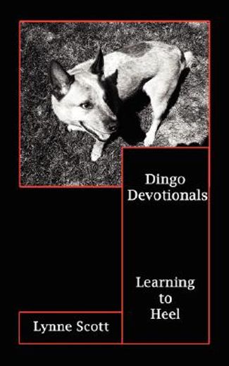 dingo devotionals (en Inglés)