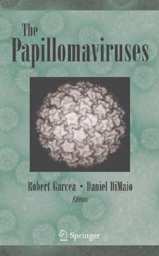 the papillomaviruses