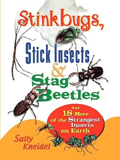 stink bugs, stick insects, and stag beetles,and 18 more of the strangest insects on earth (en Inglés)