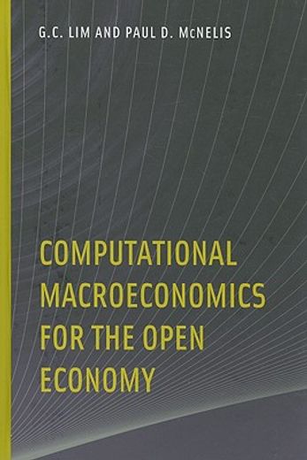 computational macroeconomics for the open economy