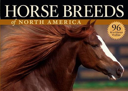 horse breeds of north america (en Inglés)