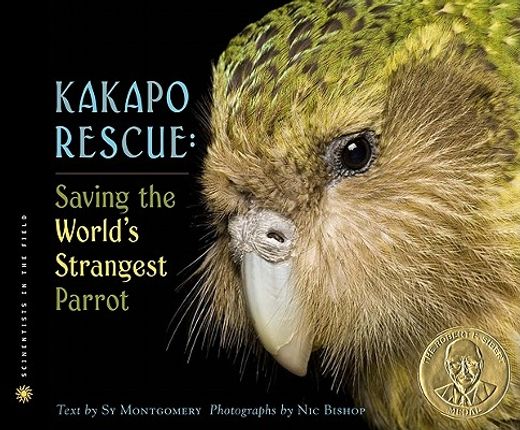 kakapo rescue,saving the world´s strangest parrot