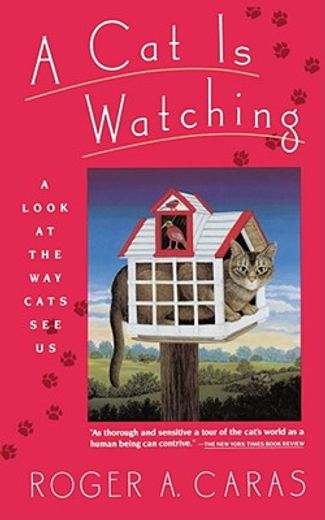 a cat is watching,a look at the way cats see us (en Inglés)