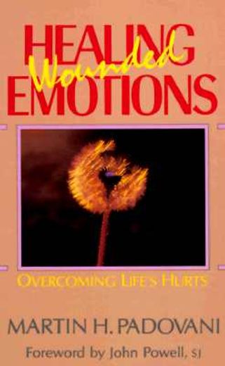 healing wounded emotions: overcoming life ` s hurts