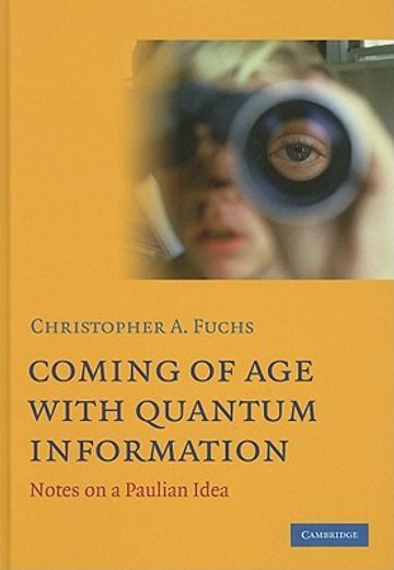 coming of age with quantum information,notes on a paulian idea