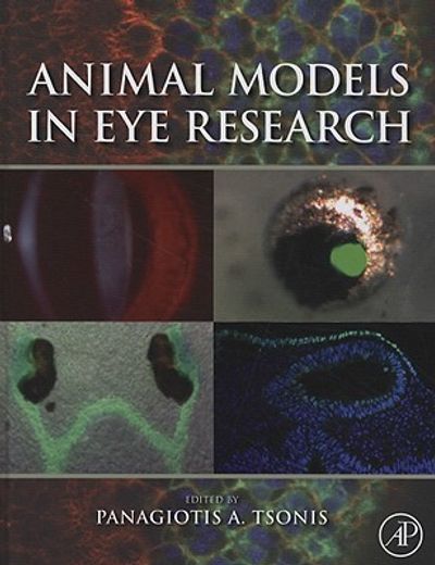 animal models in eye research