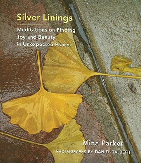 silver linings,meditations on finding joy and beauty in unexpected places